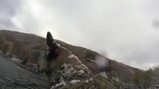 Lower Provo River - Fly Fishing - Cheap thrills on small reels with man's best friend!