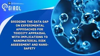 Silico Nanotoxicology Evaluation of Engineered Nanomaterials