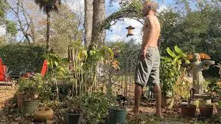The Unwinding | 11.20.25 | Spontaneous Somatic Healing | Kundalini | Qi Gong | CTE | Neuroplasticity