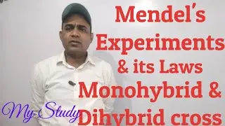 Mendel's Experiment Monohybrid and Dihybrid cross #mystudy_ #mendelslaw #monohybrid #dihybridcross