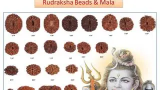 Top 10 Best Selling Religious Products