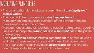 BAUD3113 - Control Environment From Audit Perspectives