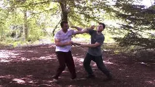 Xing Yi Quan: 5 Elements (Wu Xing) Destructive Partner Sequence [Xingyiquan / Hsing I Chuan]