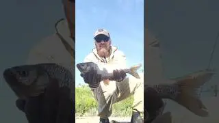 ЯЗЬ 1КГ #fishingholidays #fishing #рыбалка