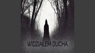 WIDZIAŁEM DUCHA