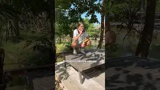 Я попала в тайскую тюрьму😳 #путешествия #таиланд