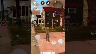 Talking cat on the Street chase song