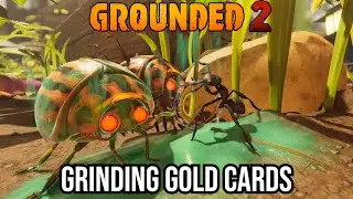 Continuing the Gold Grind | Toxic Tangle PTB