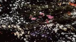 Hajime Fukuma - ｢swing by｣