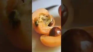 Slicing and Carving a Dragon from Loquat: A Unique ASMR Experience #asmr #food