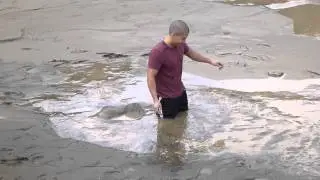 quicksand escape!