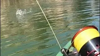 Top Water Bite(will change your life)in Midday Heat 🔥