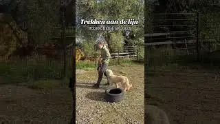 Trekken aan de lijn - Voorkomen & Oplossen