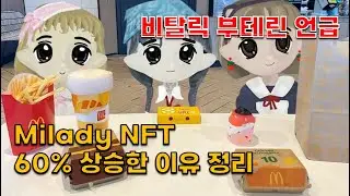 비탈릭 언급, 하루만에 Milady NFT 60% 상승한 이유 정리(Vitalik, ETH, NFT)