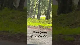 The Ultimate Scenic Drive Through Mount Rainier