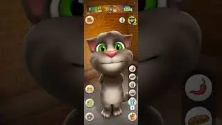 cat vlogs#cat #catvideos