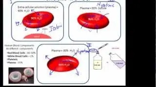 Tonic Solutions & RBC
