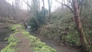 Bigwell fly fishery this weeks goings on #gonefishing #stillwater #alfie rock fishing#flyfishinglife