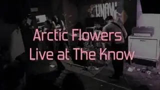 Arctic Flowers-