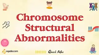 Chromosome Structural Abnormalities | Introduction | Medical Genetics