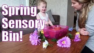 Spring Sensory Bin 🌼 | DIY Dollar Tree Toddler Fun