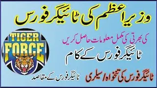 Duties/Kam of tiger force, Salary of tiger force;purpose of tiger force, prime minister force,