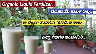 ಹೂವು ಉದುರುವ ಸಮಸ್ಯೆ/ ಗಿಡದಲ್ಲಿ ಗೊಂಚಲು ಗೊಂಚಲು ಹೂವು ಬಿಡಬೇಕೆ?ಹಾಗಿದ್ರೆ ಈ ವಿಡಿಯೋ ನೋಡಿ/ತುಂಬಾ ಸಿಂಪಲ್