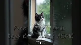 Pure Rain Sounds 🌧️ Deep Relaxation ASMR