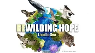 Rewilding Hope Land to Sea Day One