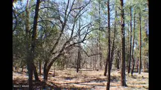 Real Estate for Sale Show Low Lake Road, Lakeside, AZ 85929