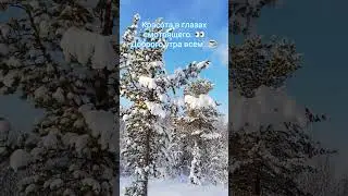 #shortvideo #зима #travel #цитатыосмысле#Мурманскаяобл #любовь #природа #красота