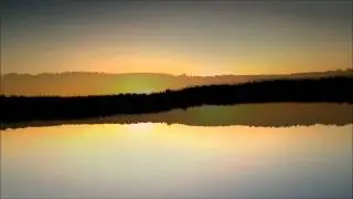 Max Cooper Live - Reflections/Contortions* / Nokia N8