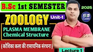 BSc 1st Year 1st Semester Zoology Unit 1/Plasma Membrane Chemical Structure Protein & Lipid in Hindi