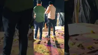 Music mailari