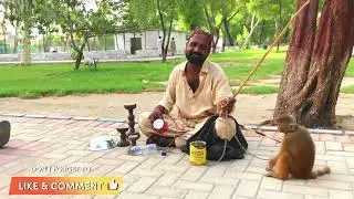 bandar ka khel tamasha | khel madari bandar ka | bandar ka naach | BilaalNoorHyderabadi