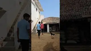 New year special #murga #murgachor #comedy #funny #balaghat #Gaon #newyear