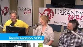 The Radio Pet Vet w Dr Randy - Question on Vaccinating an Elderly Dog