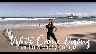 Shaolin Style Qigong Practice - (Great For Powering UP) #power #fitness  #qigong