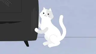 Why we don&rsquo;t recommend declawing your cat