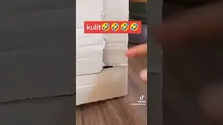 maharot na pusa😅 | my cutie pet | cat lover | Cfdc family vlogs