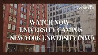 New York University Campus Tour | Study Abroad at NYU in the Heart of NYC