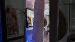 Waterfall in the lobby