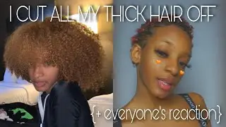 I DID A BIG CHOP ON MY THICK 3C/4A HAIR *my mom slapped me* 2020