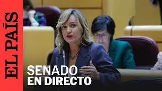 DIRECTO | Pleno del Senado | EL PAÍS