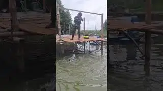 kerapu mancing #kakap #pandawafishingairasin #kakapputih #mancing #pemancingan