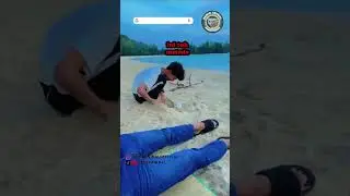 dubbing binatang