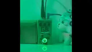 The Green bastard by Sparkbox fx. 808OD from parts unknown!
