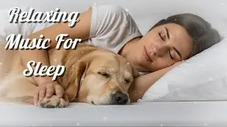 Calm Night Sounds for Deep Rest