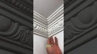 как соединить гипс#шорты#короткие#тренд#уникальный#fyp