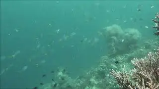 Kei Islands